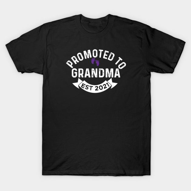 promoted to grandma est 2021 T-Shirt by PhiloArt